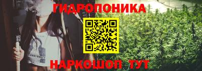 молекула духа Ирбит