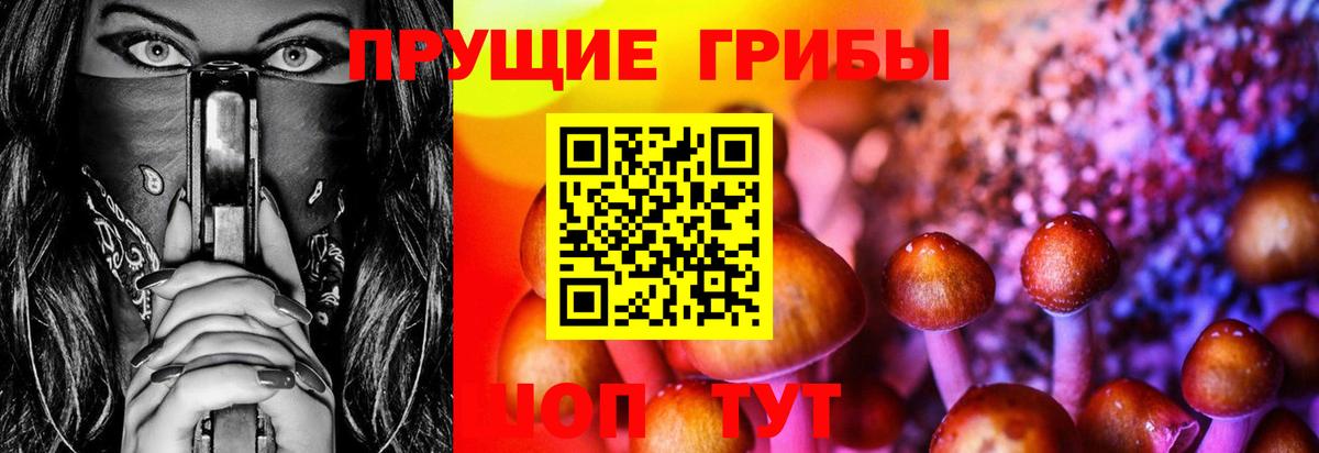 Нижневартовск  Псилоцибиновые грибы ЛСД  Вход с VPN 